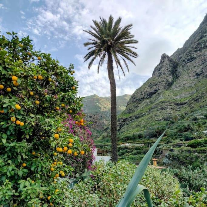 Villa Tamadaba Agaete (Gran Canaria) Exterior foto